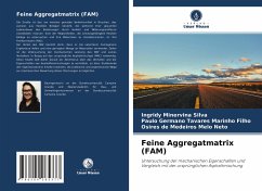 Feine Aggregatmatrix (FAM) - Minervina Silva, Ingridy;Germano Tavares Marinho Filho, Paulo;de Medeiros Melo Neto, Osires