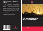 Os Determinantes da Mobilidade Pastoral