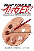 What Color Is Anger? (eBook, ePUB)