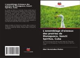 L'assemblage d'oiseaux des prairies de Managuaco, Sancti Spíritus, Cuba