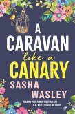 A Caravan Like a Canary (eBook, ePUB)