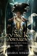 The Divine Key Awakens (The Divine Key... - Bild 1