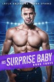 His Surprise Baby (Book Three) (eBook, ePUB)