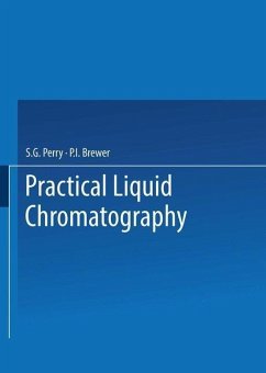 Practical Liquid Chromatography (eBook, PDF) - Perry, S. G.