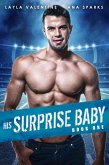 His Surprise Baby (eBook, ePUB)