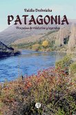 Patagonia (eBook, ePUB)