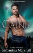 Catnip (Merged Worlds) (eBook, ePUB) - Bild 1