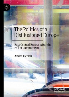 The Politics of a Disillusioned Europe (eBook, PDF) - Liebich, André