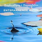 Stressbewältigung & Stressregulation: Entspannende Musik gegen Angst, Depressionen und Kopfschmerzen (MP3-Download)