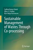Sustainable Management of Wastes Through Co-processing (eBook, PDF)