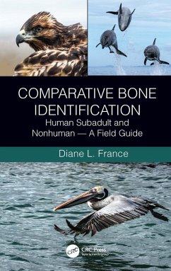 Comparative Bone Identification (eBook, ePUB) - France, Diane L.
