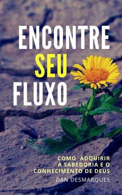 Encontre Seu fluxo (eBook, ePUB) - Desmarques, Dan