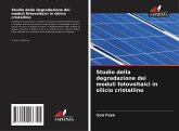 Studio della degradazione dei moduli fotovoltaici in silicio cristallino