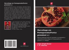 Marcottage em Pomegranate(Punica granatum L.) - Dawar, Intjar Singh;Sharma, T. R.