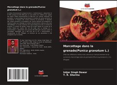 Marcottage dans la grenade(Punica granatum L.) - Dawar, Intjar Singh;Sharma, T. R.