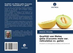 Qualität von Meloa galia (Cucumis melo var. reticulatus cv. galia) - Almeida, António
