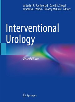 Interventional Urology (eBook, PDF)