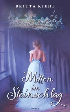 Cover Mitten im Steinschlag (eBook, ePUB)