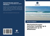 Wechselwirkungen zwischen Caulerpa sp & Cymodeocea sp im Mittelmeer