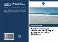 Wechselwirkungen zwischen Caulerpa sp & Cymodeocea sp im Mittelmeer - Dorgham, Meriem