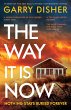 The Way It Is Now (eBook, ePUB) - Bild 1
