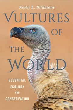 Vultures of the World (eBook, ePUB) - Bildstein, Keith L.
