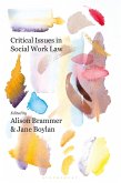 Critical Issues in Social Work Law (eBook, PDF)