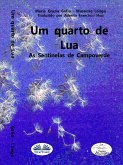 Um Quarto De Lua (eBook, ePUB)