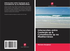 Interacções entre Caulerpa sp & Cymodeocea sp no Mediterrâneo - Dorgham, Meriem