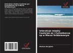 Interakcje mi¿dzy Caulerpa sp i Cymodeocea sp w Morzu ¿ródziemnym