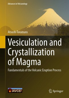Vesiculation and Crystallization of Magma (eBook, PDF) - Toramaru, Atsushi