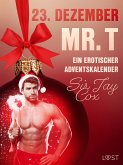 23. Dezember: Mr. T – ein erotischer Adventskalender (eBook, ePUB)