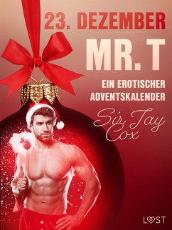 Cover 23. Dezember: Mr. T - ein erotischer Adventskalender (eBook, ePUB)