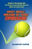 What Shall Become of Your Dreams: Parable of the Sponge Ball (eBook, ePUB)