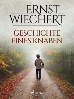 Geschichte eines Knaben (eBook, ePUB) - Wiechert, Ernst