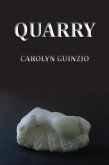 Quarry (eBook, ePUB)