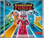 Kingdom Force - Ein neues Team