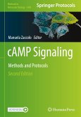 cAMP Signaling