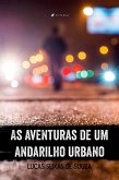 As aventuras de um andarilho urbano (eBook, ePUB)