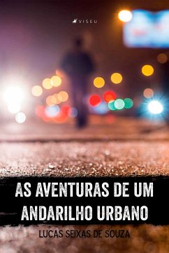 As aventuras de um andarilho urbano (eBook, ePUB) - Souza, Lucas Seixas de