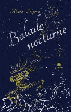 Balade nocturne - Marion Dupuich