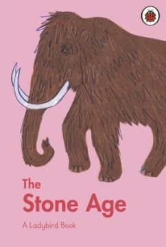 A Ladybird Book: The Stone Age - Ansari, Sidra