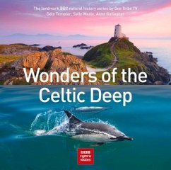 Wonders of the Celtic Deep - Templar, Dale; Weale, Sally; Gallagher, Anne