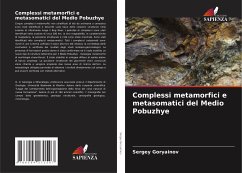 Complessi metamorfici e metasomatici del Medio Pobuzhye - Goryainov, Sergey