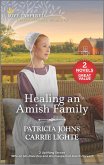 Healing an Amish Family (eBook, ePUB)