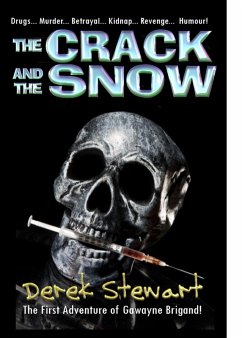 The Crack and The Snow (Gawayne Brigand, #1) (eBook, ePUB) - Stewart, Derek