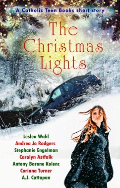 Cover The Christmas Lights (eBook, ePUB)