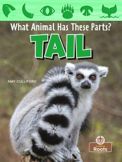 Tail - Culliford, Amy