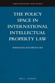 The Policy Space in International Intellectual Property Law