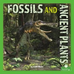Fossils and Ancient Plants - Hicks, Kelli